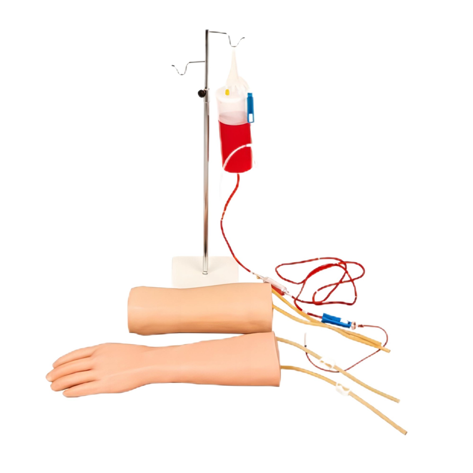 手部、肘部組合式靜脈輸液（血）訓練模型